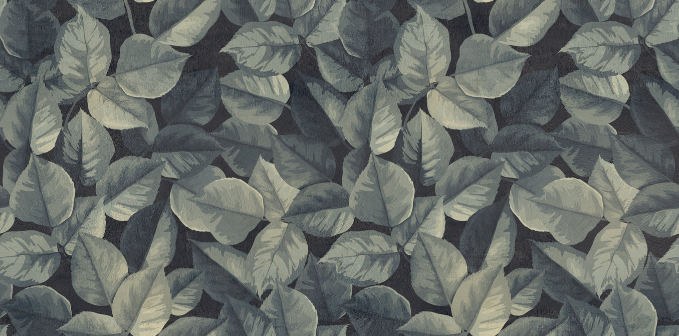 PIANTE